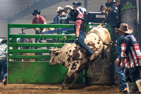 Bull Riding - Short Round